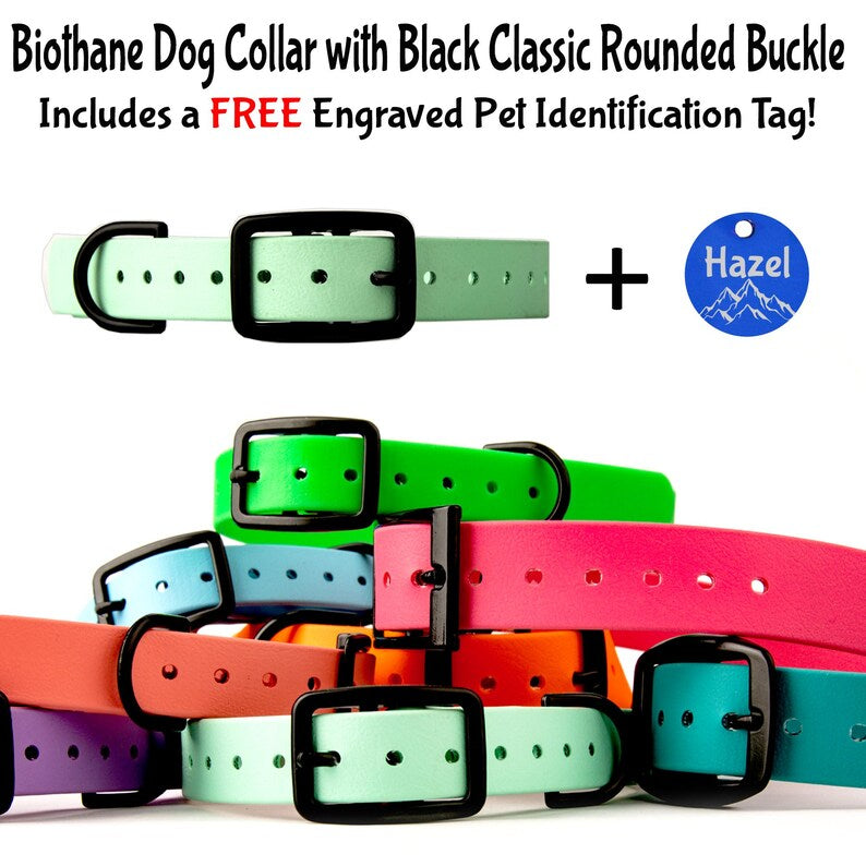 Dog Collars