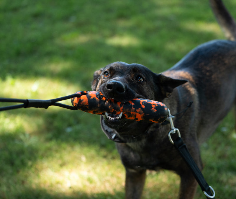 Load image into Gallery viewer, EVA Foam Bumper Dog Toy with Rope Handle, Floating Water Retrieval Toy, Tug &amp; Fetch Training, High Visibility Pink, Green or Orange
