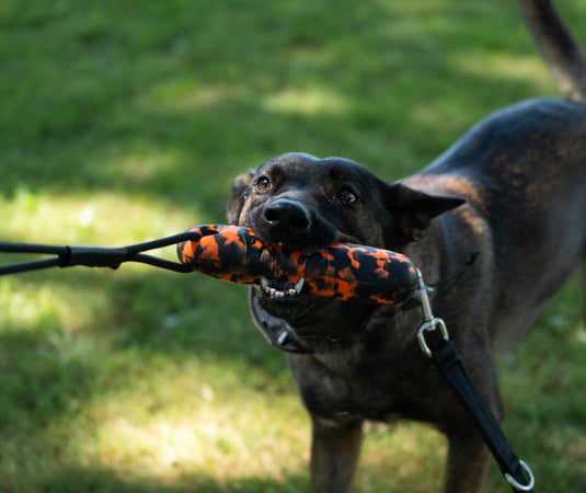 EVA Foam Bumper Dog Toy with Rope Handle, Floating Water Retrieval Toy, Tug & Fetch Training, High Visibility Pink, Green or Orange