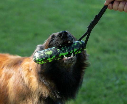 EVA Foam Bumper Dog Toy with Rope Handle, Floating Water Retrieval Toy, Tug & Fetch Training, High Visibility Pink, Green or Orange