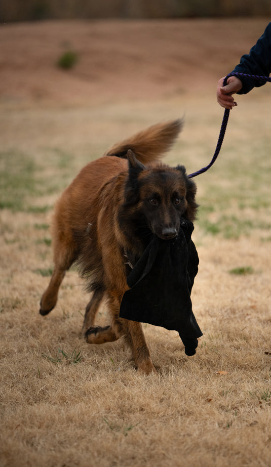 Leather Bite Rag for Puppies Or Dogs - Black