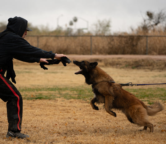 Leather Bite Rag for Puppies Or Dogs - Black
