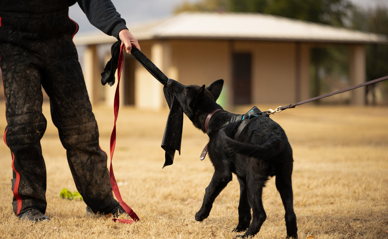 Load image into Gallery viewer, Leather Bite Rag for Puppies Or Dogs - Black
