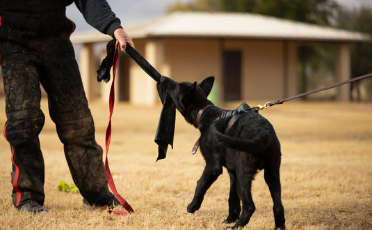 Leather Bite Rag for Puppies Or Dogs - Black