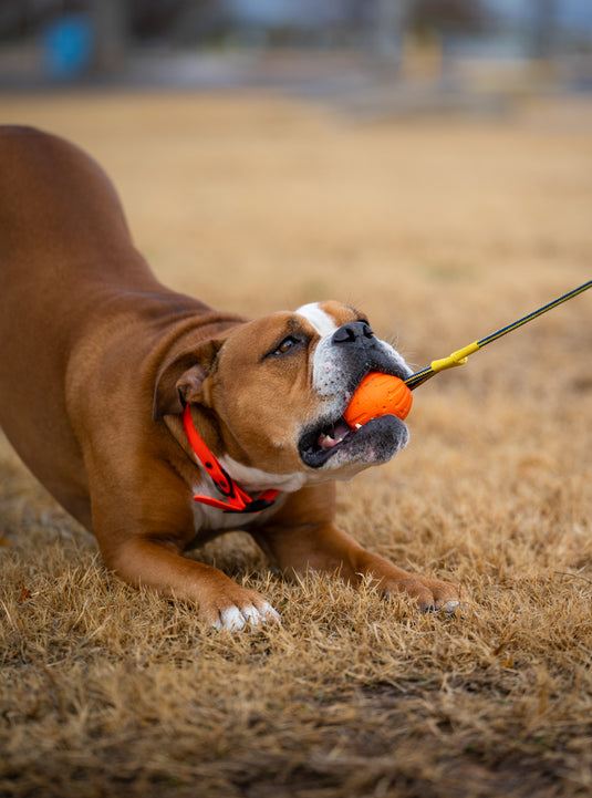 High-Vis Foam Fetch Dog Ball with Soft Touch Rope Handle - Medium 12