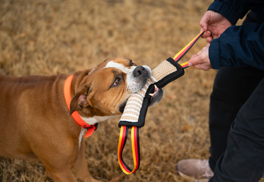 Tough Jute Dog Tug Toy – Heavy-Duty Bite Pad for Tug-of-War, Training & Active Play, Durable Natural Fiber Toy - German Flag Handles