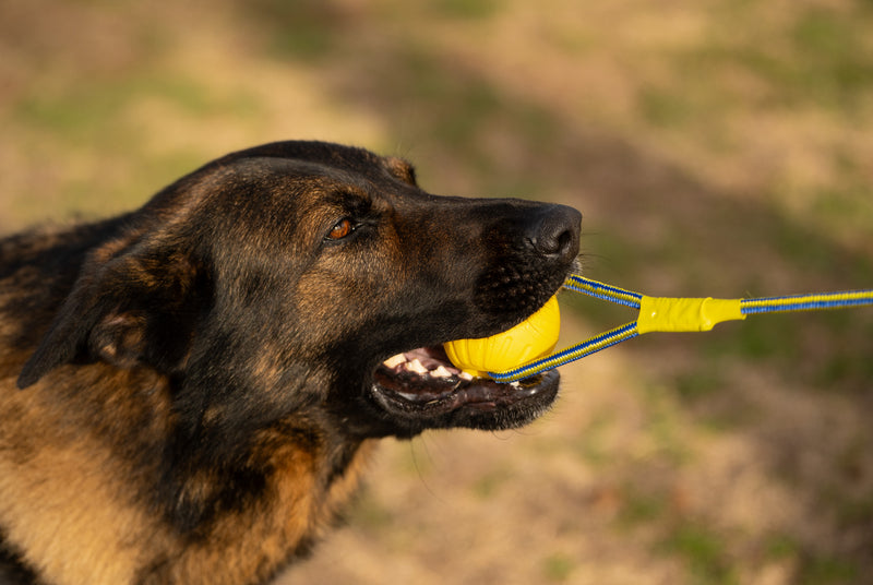Load image into Gallery viewer, High-Vis Foam Fetch Dog Ball with Soft Touch Rope Handle - Medium 12" x 2.75"
