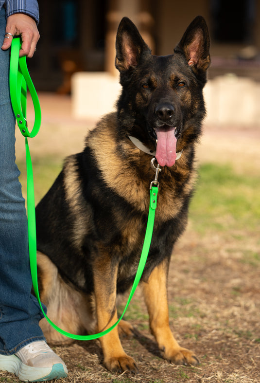 Biothane Dog Leash - 6FT Line - 3/4th Width - High Visibility Colors - Sturdy Dog Leash - Sturdy Hardware - Waterproof - Easy to Clean