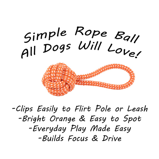 Bright Orange Rope Ball Dog Toy with Handle - Simple Tug & Flirt Pole Toy