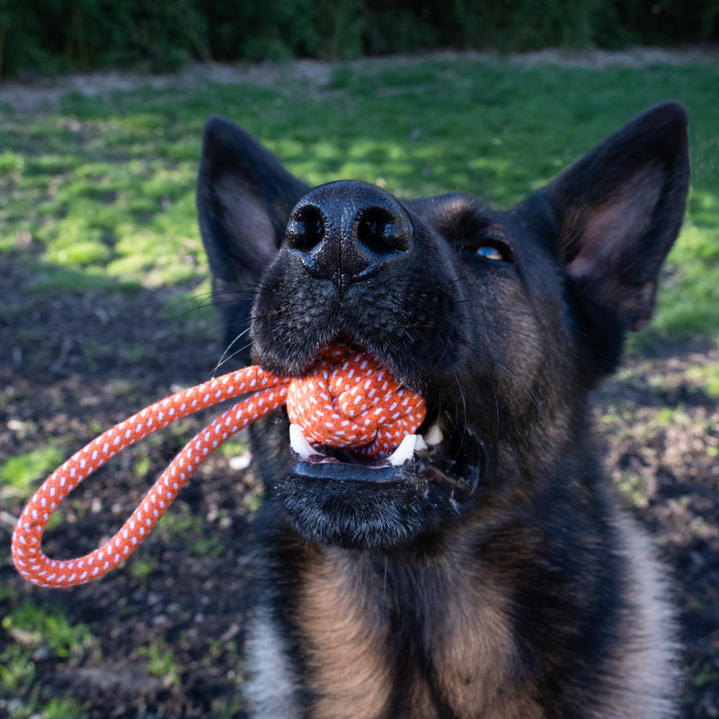 Load image into Gallery viewer, Bright Orange Rope Ball Dog Toy with Handle - Simple Tug &amp; Flirt Pole Toy
