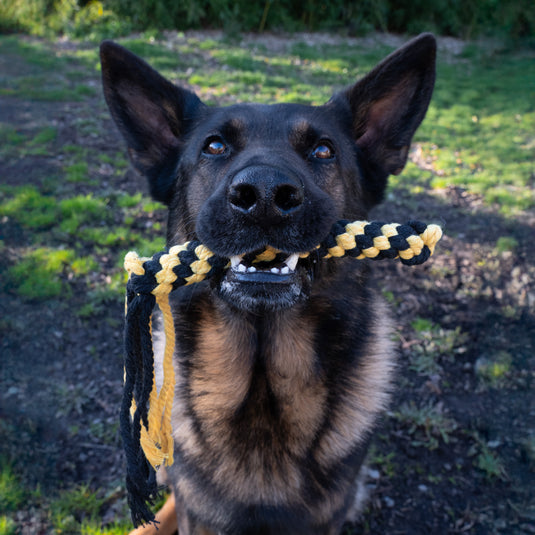 Bright Rope Dog Tug Toy with Loop End - Flirt Pole or Leash Attachment - Yellow & Green Interactive Play Toy