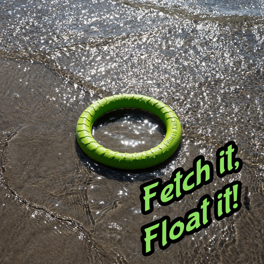 Foam Fetch EVA Dog Fitness Ring – Durable Tug & Fetch Toy, Floats for Water Play, Lightweight, Gentle on Teeth, High-Visibility Colors