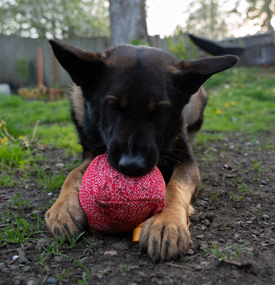 Jute Square Dog Tug Toy – Durable 5