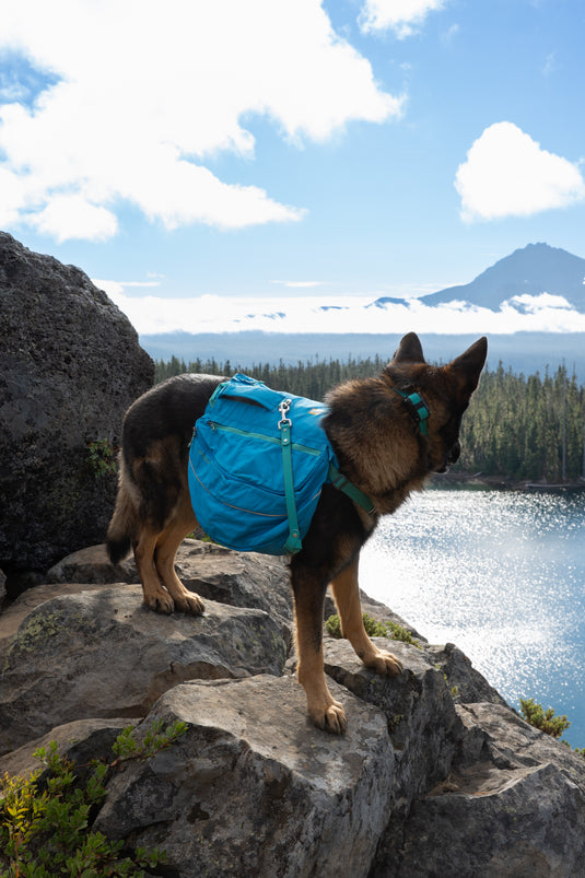 Adventure Ready Gear