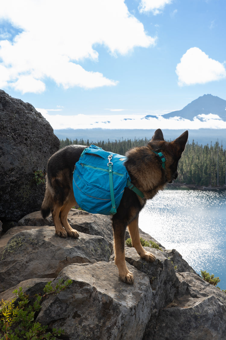 Adventure Ready Gear