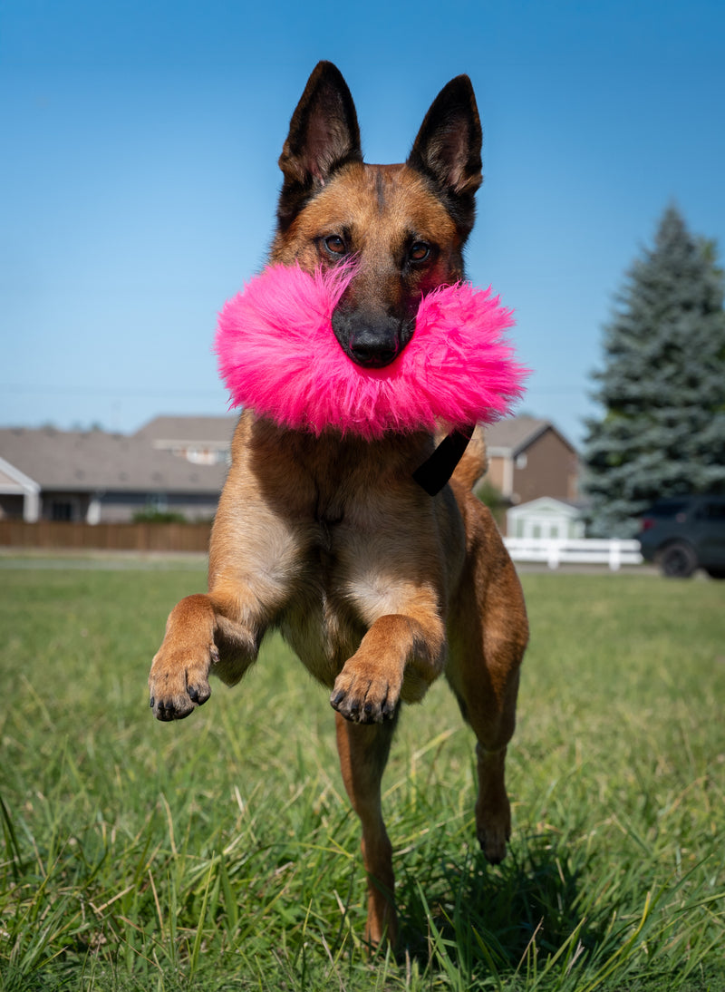 Load image into Gallery viewer, Sheepskin Dog Tug Reward Toy - Single Handle, Three Sizes - Hi-Visibility Colors
