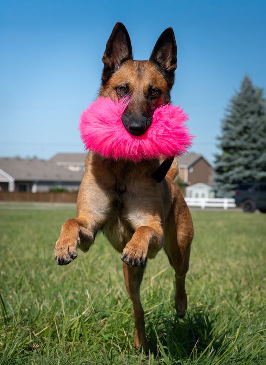 Sheepskin Dog Tug Reward Toy - Single Handle, Three Sizes - Hi-Visibility Colors