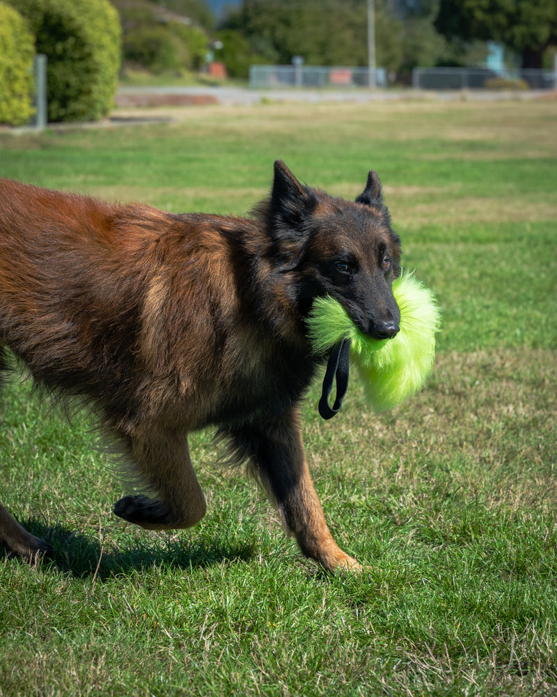 Load image into Gallery viewer, Sheepskin Dog Tug Reward Toy - Single Handle, Three Sizes - Hi-Visibility Colors
