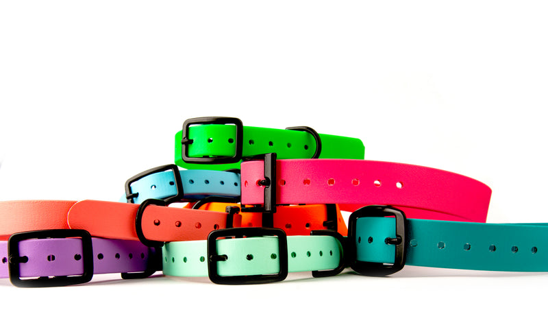 Load image into Gallery viewer, Biothane Dog Collar with Black Classic Rounded Buckle - Waterproof, Visible, Durable and Easy to Clean
