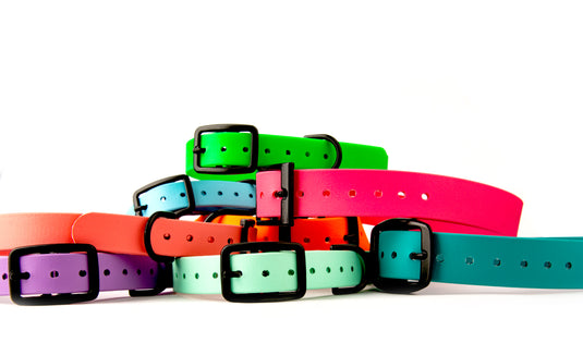 Biothane Dog Collar with Black Classic Rounded Buckle - Waterproof, Visible, Durable and Easy to Clean