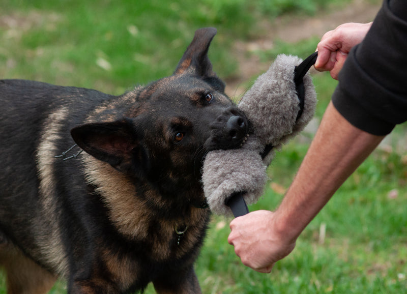Load image into Gallery viewer, Sturdy Sheepskin Dog Tug with Handles and Replaceable Squeaker Pocket - Interactive Training &amp; Motivation Toy
