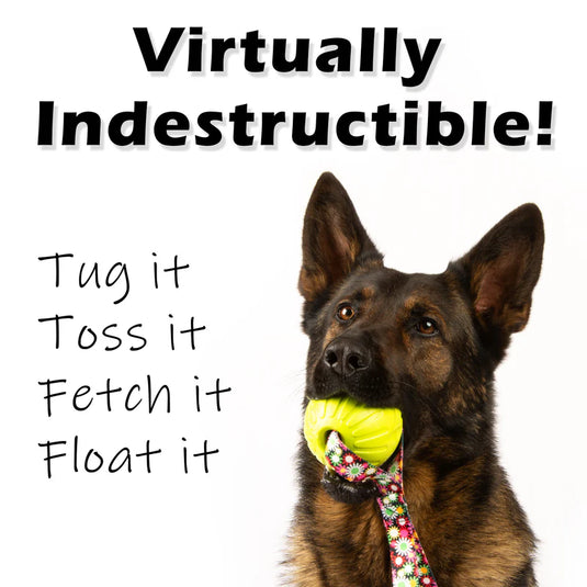 High-Vis Foam Fetch Dog Ball - Durable Nylon Handle, Neon Flower Handle, Two Sizes