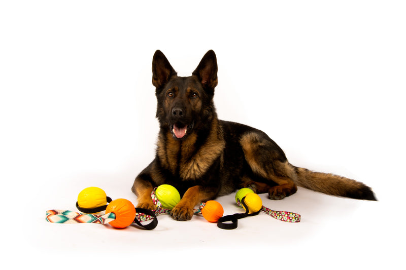 Load image into Gallery viewer, High-Vis Foam Fetch Dog Ball with Soft Touch Rope Handle - Medium 12" x 2.75"
