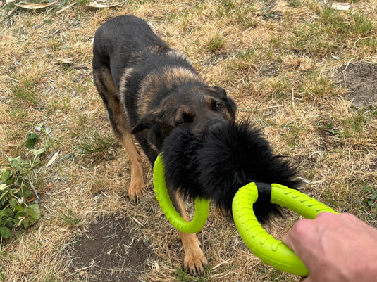 Ultimate Sheepskin Tug & Fetch Toy with Dual EVA Foam Ring Handles - Black Fur