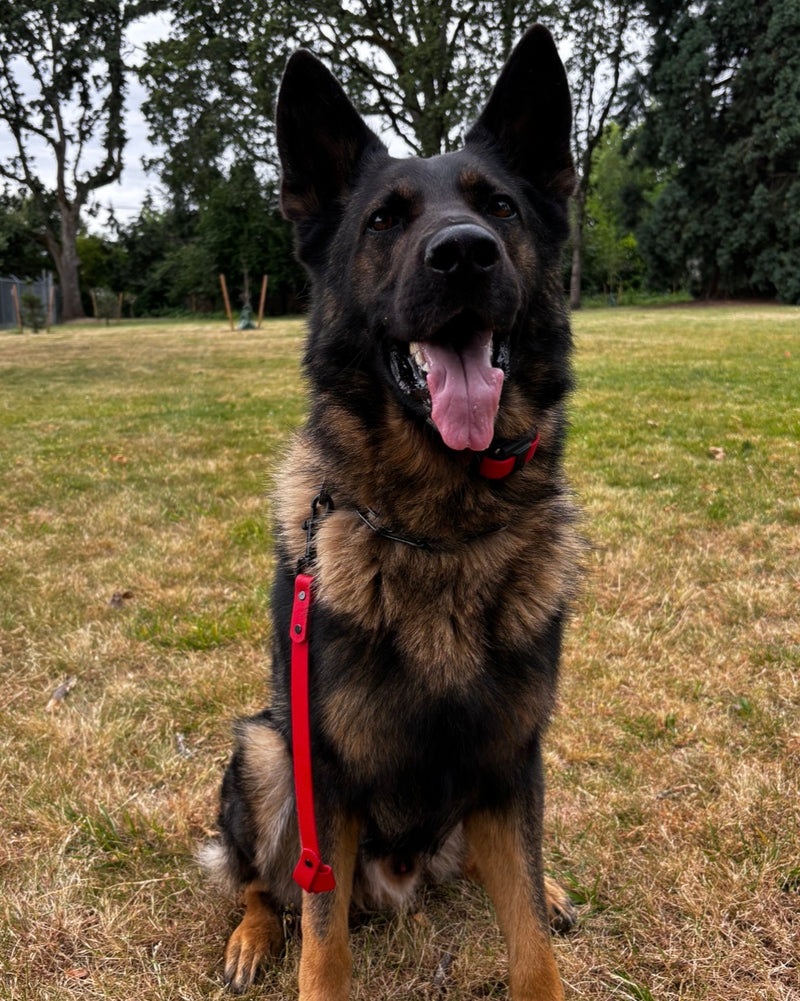 Load image into Gallery viewer, BioThane Traffic Tab with Grip Knot End, Waterproof and Durable Dog Leash Handle, Multi-Use

