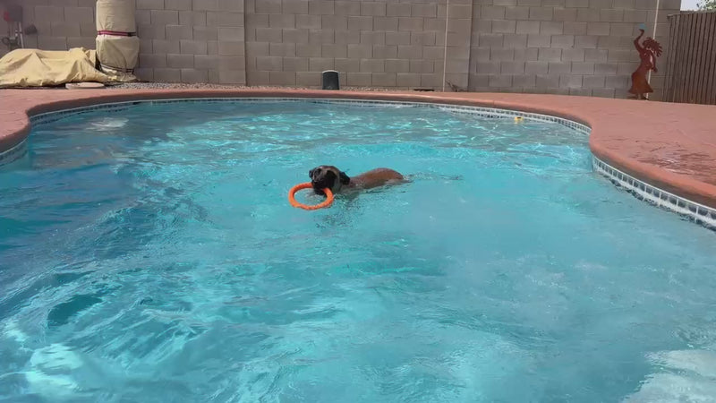 Load and play video in Gallery viewer, Foam Fetch EVA Dog Fitness Ring – Durable Tug &amp; Fetch Toy, Floats for Water Play, Lightweight, Gentle on Teeth, High-Visibility Colors
